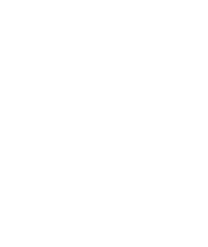 Dogvilla kyo-tamba 木都