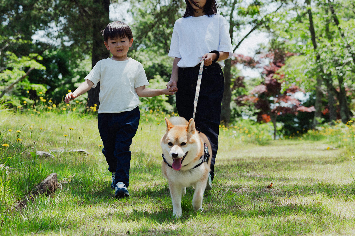 木都のおもい